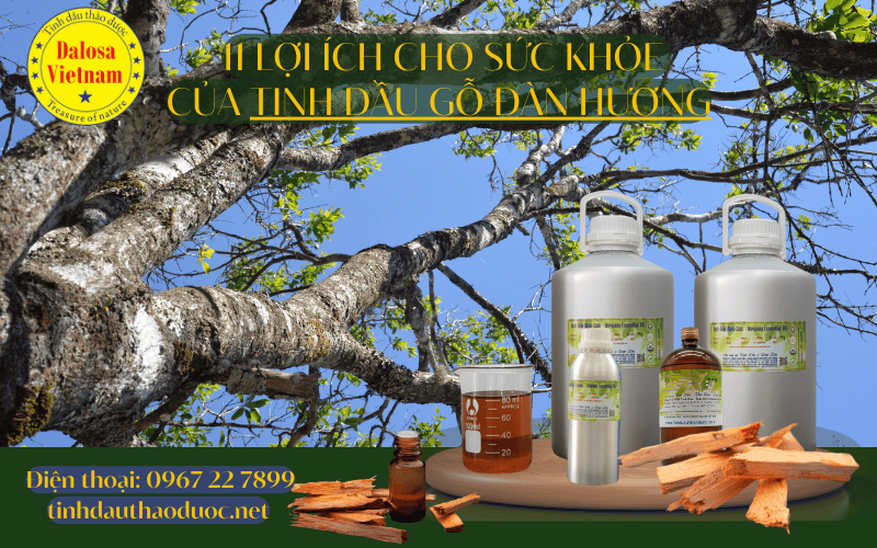 11-loi-ich-cho-suc-khoe-cua-tinh-dau-dan-huong-sandalwood-essential-oil