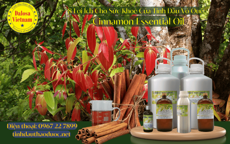 8-loi-ich-suc-khoe-cua-tinh-dau-vo-que-cinnamon-essential-oil