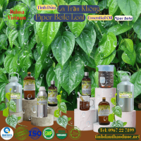 tinh-dau-la-trau-khong-piper-betle-leaf-essential-oil-1-lit - ảnh nhỏ  1