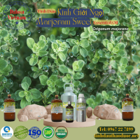 tinh-dau-kinh-gioi-ngot-marjoram-sweet-essential-oil-1-lit - ảnh nhỏ  1