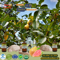 tinh-dau-la-oi-guava-essential-oil-1-lit - ảnh nhỏ  1