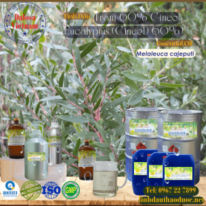 Tinh Dầu Tràm 60% - Eucalyptol Essential Oil 1 lít